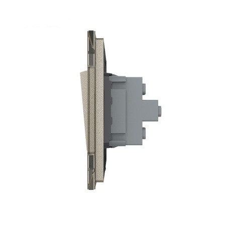 Двухклавишный механический выключатель 1 пост, цвет шампань Livolo