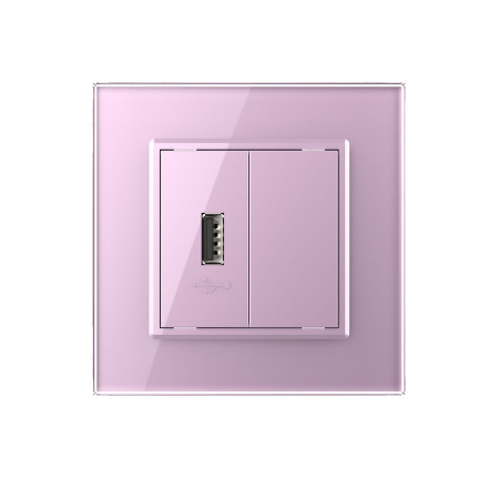 Розетка USB с блоком 5В 2.1А Розовая Livolo