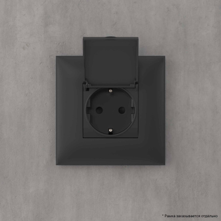 Розетка с крышкой в стену, 2P+E, с з/ш, "Avanti", "Черный матовый" DKC