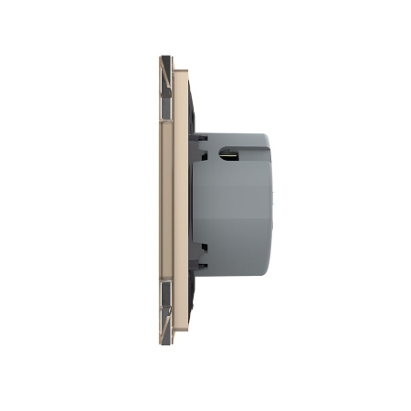 Сенсорный выключатель Quadro 1 клавиша 1 пост Золотой Livolo