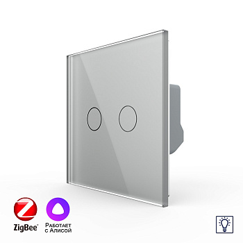 Двухклавишный умный сенсорный диммер Livolo ZigBee, 1 пост, Серый VL-C702D2Z-2IG