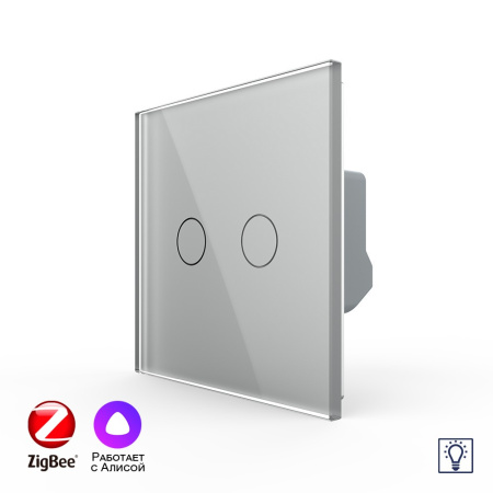 Двухклавишный умный сенсорный диммер Livolo ZigBee, 1 пост, Серый VL-C702D2Z-2IG
