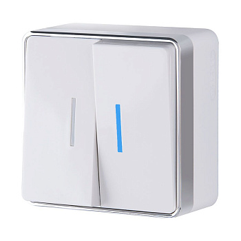 Выключатель двухклавишный с подсветкой (белый) Gallant ОУ IP20 Werkel