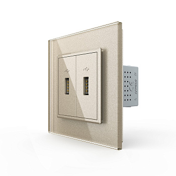 Розетка с двумя USB type-A, блоком питания 5В 2.1А 1 пост, цвет шампань Livolo Розетка с двумя USB type-A, блоком питания 5В 2.1А 1 пост, цвет шампань Livolo