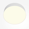 Потолочный светильник LED 24Вт Белый IP20 Ceiling & Wall C032CL-24W3K-RD-W Technical Maytoni
