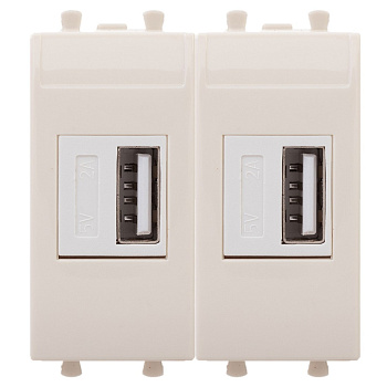 USB зарядное устройство модульное, "Avanti", "Ванильная дымка", 2 модуля DKC