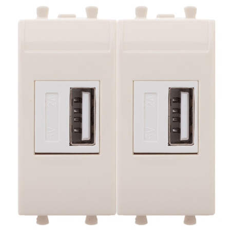 USB зарядное устройство модульное, "Avanti", "Ванильная дымка", 2 модуля DKC