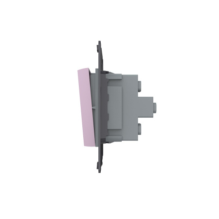 Двухклавишный механический выключатель, цвет розовый (механизм) Livolo