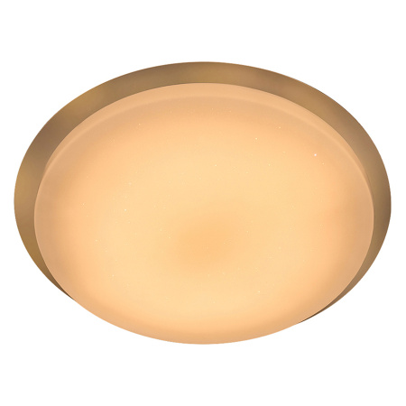 Светильник св/д управляемый Saturn 48W(3940Лм) 3000K/4000K/6500K General