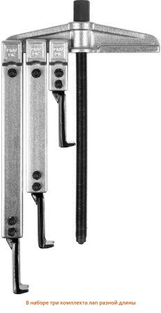 Набор съемников со сменными захватами, Профессионал 43305-H13, в кейсе ЗУБР