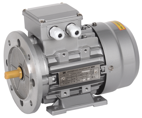 Электродвигатель асинхронный трехфазный АИС 63C2 380В 0,37кВт 3000об/мин 2081 DRIVE IEK