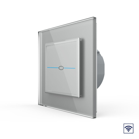 Сенсорный радиоуправляемый выключатель Quadro 1 клавиша 1 пост Серый Livolo