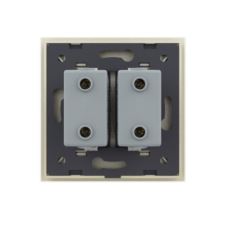 Розетка с двумя USB type-A, блоком питания 5В 2.1А 1 пост, цвет жемчужный Livolo