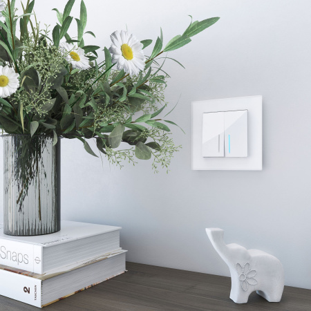 Favorit Рамка горизонт/вертик 1 пост . белый матовый IP20 Werkel