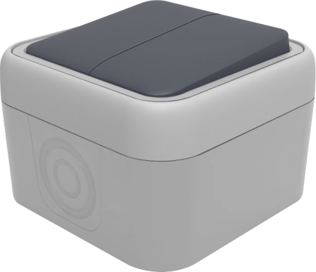 Donel W55 Переключатель 2-кл. накладной, серый, IP55, серия (тип) DIP55