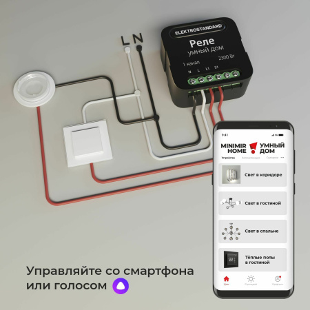 Умное одноканальное реле 2300Вт черный IP20 (a059324) Elektrostandard