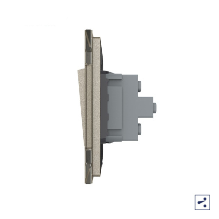 Двухклавишный проходной механический выключатель 1 пост, цвет шампань Livolo