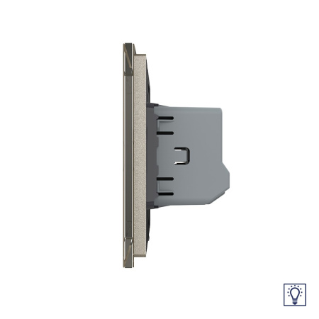 Одноклавишный сенсорный Адаптивный диммер 1 пост, цвет шампань Livolo