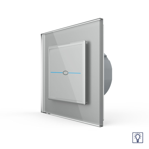 Сенсорный диммер Quadro 1 клавиша 1 пост Серый Livolo