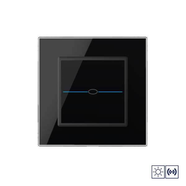 Сенсорный импульсный выключатель Quadro сухой контакт 1 клавиша 1 модуль Черный Livolo