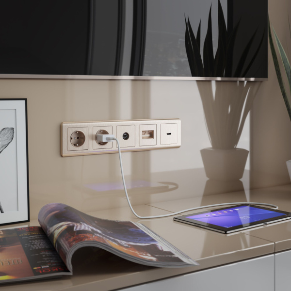 Stream Рамка на 5 постов (шампань) Werkel