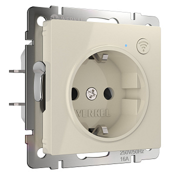 Умная встраиваемая розетка с заземлением с защитными шторками бежевая СУ IP20 Werkel