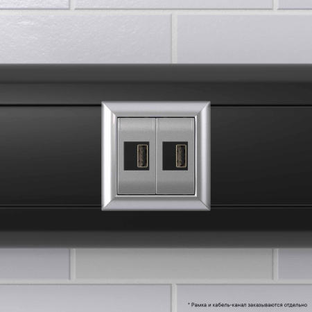 USB зарядное устройство модульное, "Avanti", "Закаленная сталь", 2модуля DKC