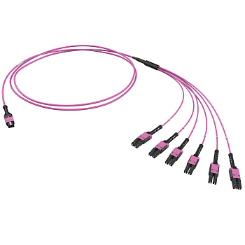 Оптическая разветвительная сборка 12ОВ 50/125 OM4 1xMTP PRO(12)/6хLC Duplex Uniboot 2м (предуст.конф.: MTP Male, тип полярности - прямая (Tx-Rx) DKC