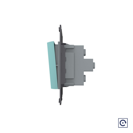 Двухклавишная механическая кнопка (звонок), цвет зеленый (механизм) Livolo