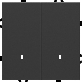 Выключатель 2-клавишный c индикатором (механизм), STEKKER, 250В, 10А, серия Эмили, RSW10-5102-05, черный уголь, soft touch