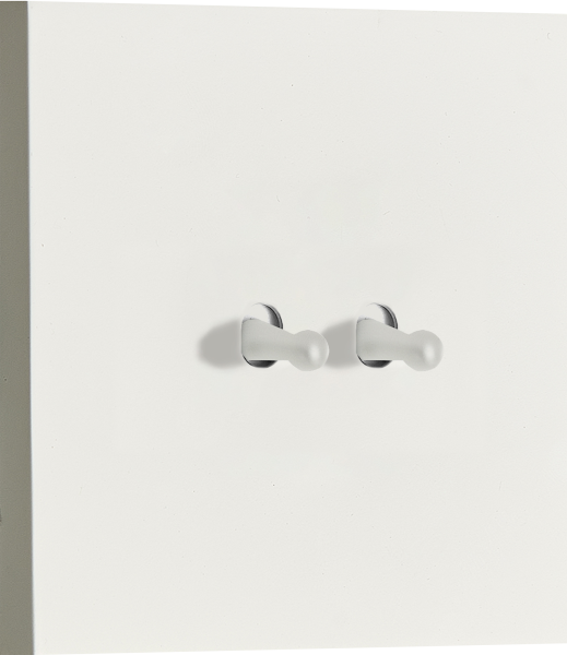 Donel N96 Переключатель на 2 тумблера, Каплевидный, 10AX 250V, Белый, серия DT