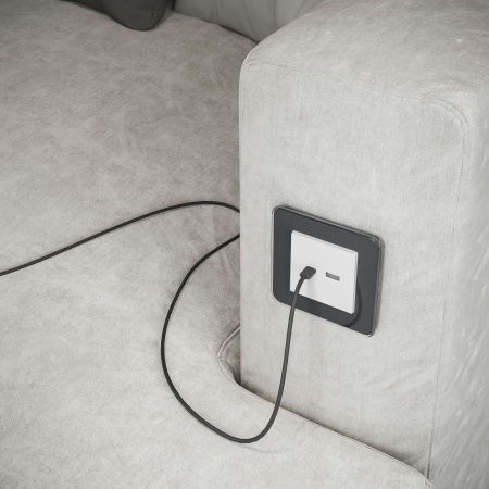 Elite Рамка из стекла на 1 пост графит Werkel