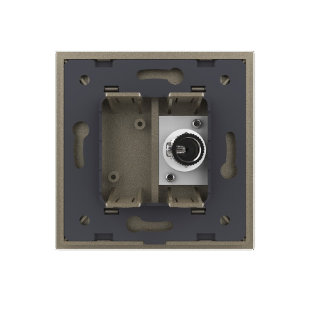 Розетка телевизионная одинарная 1 пост, цвет шампань Livolo