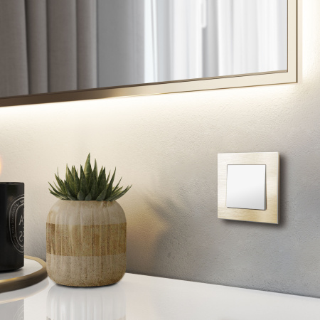 Aluminium Рамка на 1 пост (шампань алюминий) Werkel