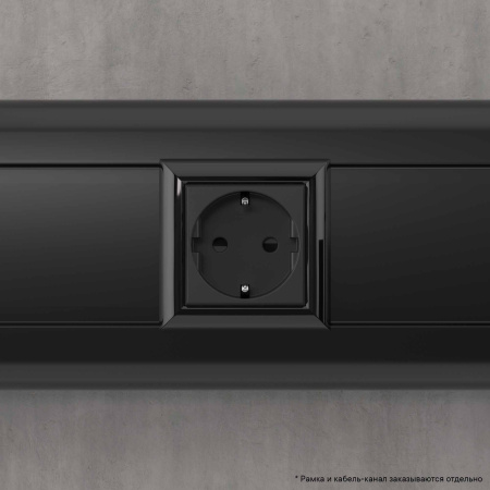 Розетка модульная, 2P+E, с з/ш, "Avanti", "Черный матовый", 2 модуля DKC