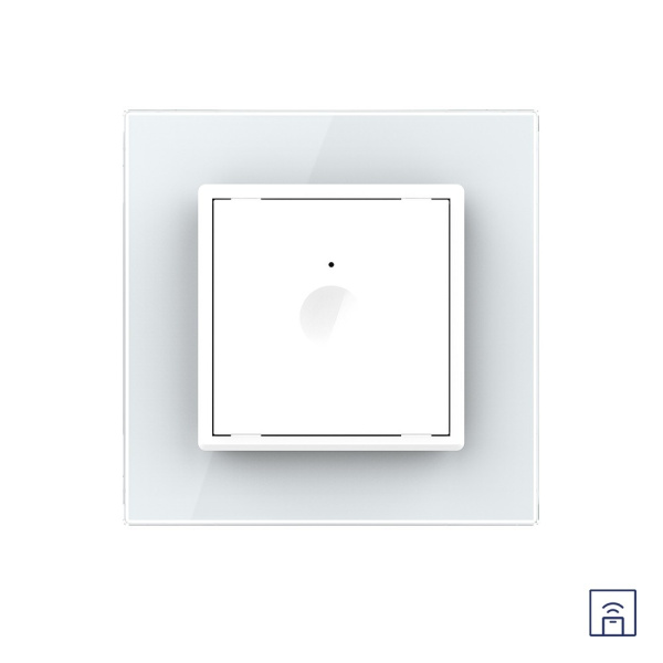Одноклавишный сенсорный выключатель Module с функцией радиоуправления, цвет белый Livolo