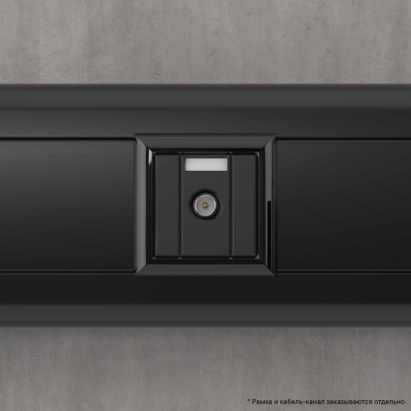 Розетка TV проходная модульная, "Avanti", "Черный матовый", 1 модуль DKC