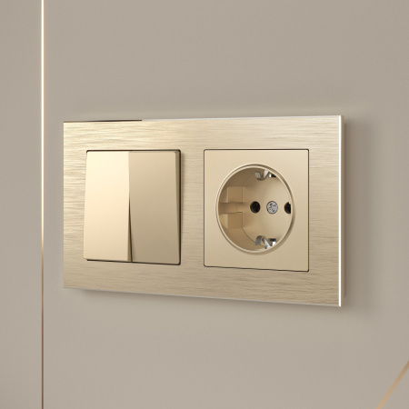 Розетка с заземлением (шампань) СУ IP20 Werkel