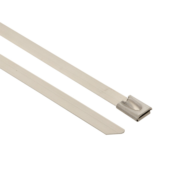 Хомут AISI 304 из нержавеющей стали, 4,6x200 (100 шт) FlexLock PROxima EKF