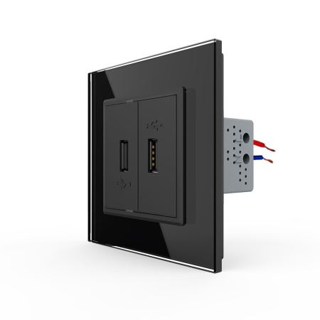 Розетка USB с блоком 5В 2.1А двойная Черная Livolo