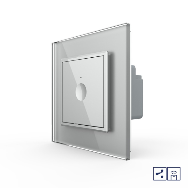 Одноклавишный проходной сенсорный выключатель Module с функцией радиоуправления, цвет серый Livolo