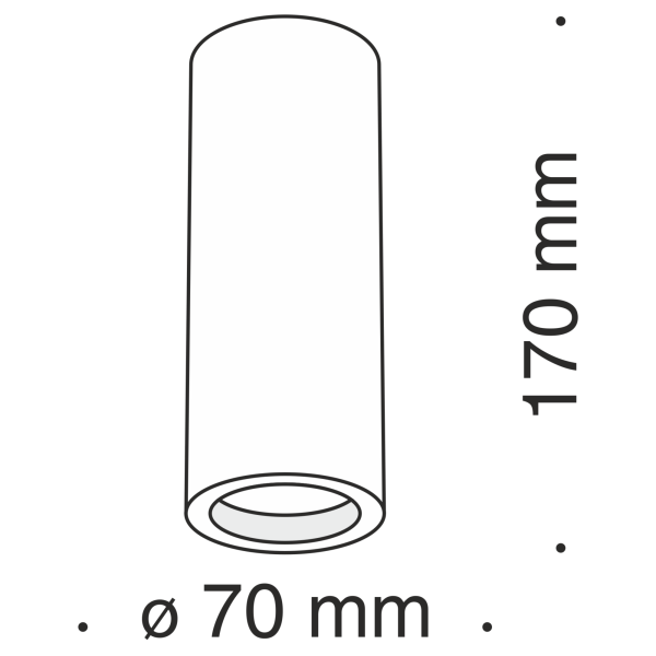 Потолочный светильник 1*GU10 30Вт Белый IP20 Conik gyps C004CW-01W Technical