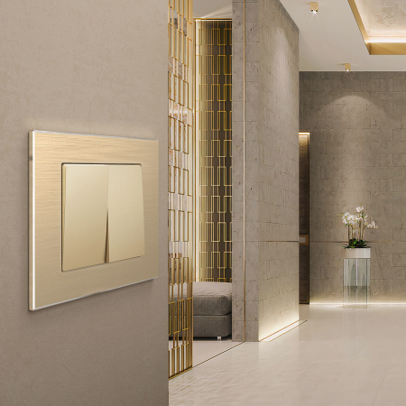 Aluminium Рамка на 1 пост (шампань алюминий) Werkel