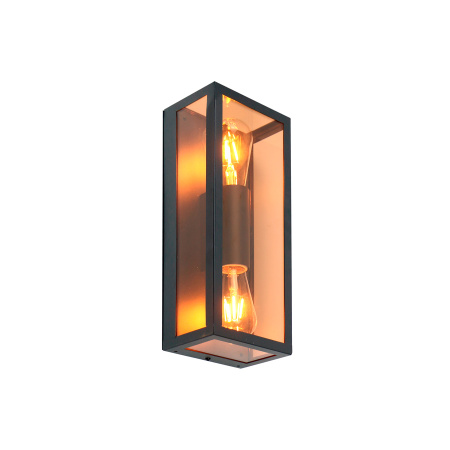 Фасадный светильник GWL-2E27-IP65 Черный+Золотой Лофт General