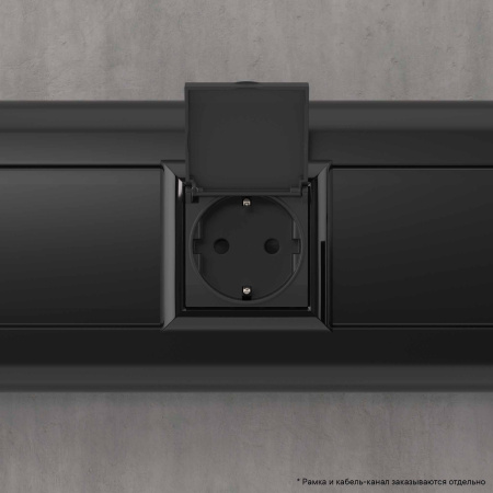 Розетка с крышкой модульная, 2P+E, с з/ш, "Avanti", "Черный матовый", 2модуля DKC