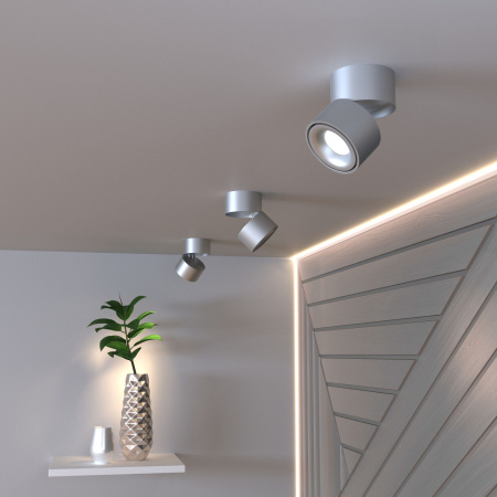 Накладной светодиодный светильник 15Вт 4200К серебряный IP20 (a051772) Elektrostandard