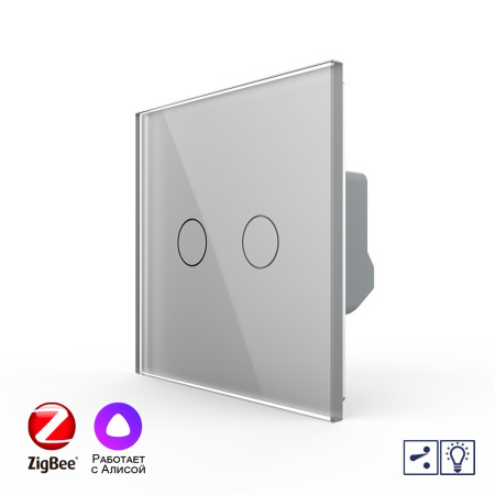 Двухклавишный проходной умный сенсорный диммер Livolo ZigBee, 1 пост, Серый VL-C702SD2Z-2IG