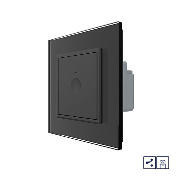 Одноклавишный проходной сенсорный выключатель Module с функцией радиоуправления, цвет черный Livolo