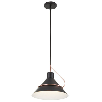 Подвесной светильник 1*E27 60Вт Черный IP20 Amis FR5025PL-01B Freya