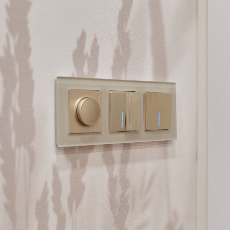 Выключатель одноклавишный с подсветкой (шампань рифленый) СУ IP20 Werkel